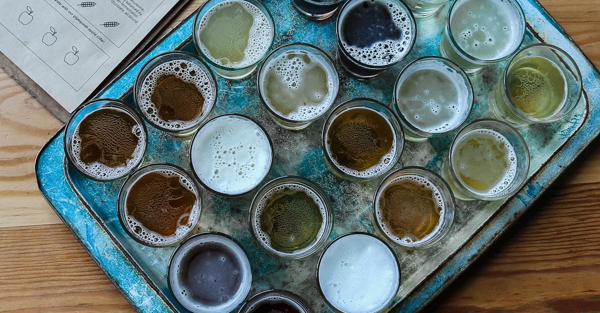 découvrez l'univers passionnant de la bière artisanale : des saveurs uniques, des méthodes de brassage créatives et une richesse de traditions. explorez notre sélection de bières faites avec soin et passion, pour une expérience gustative inoubliable.