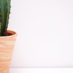 10 idées originales pour sublimer votre intérieur avec un vase de décoration