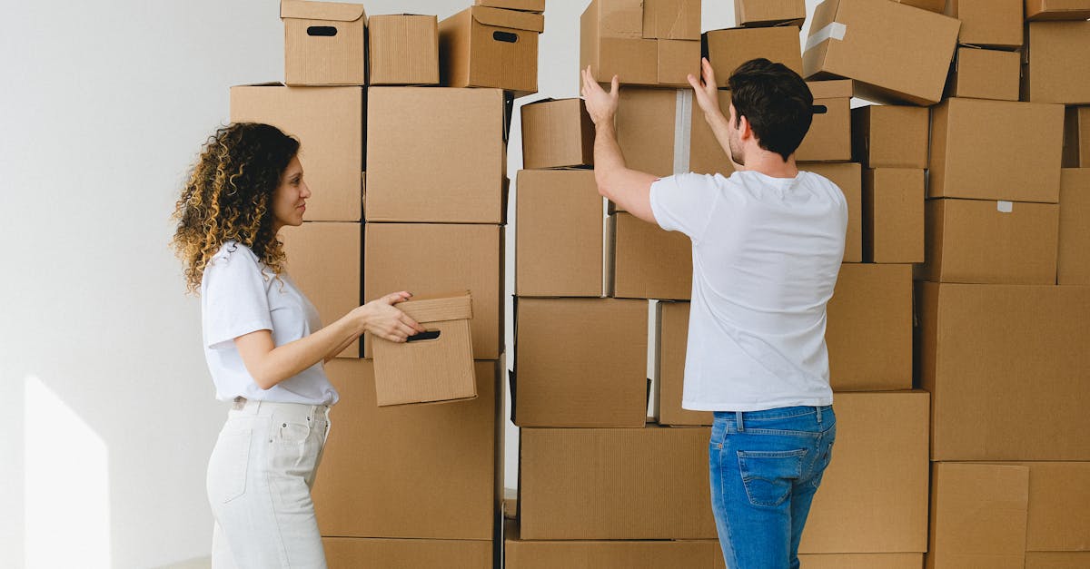découvrez nos meilleurs conseils pour réussir votre investissement immobilier : astuces pour débutants, stratégies pour maximiser votre rendement et erreurs à éviter. boostez votre projet avec notre guide pratique sur l’investissement dans l’immobilier !