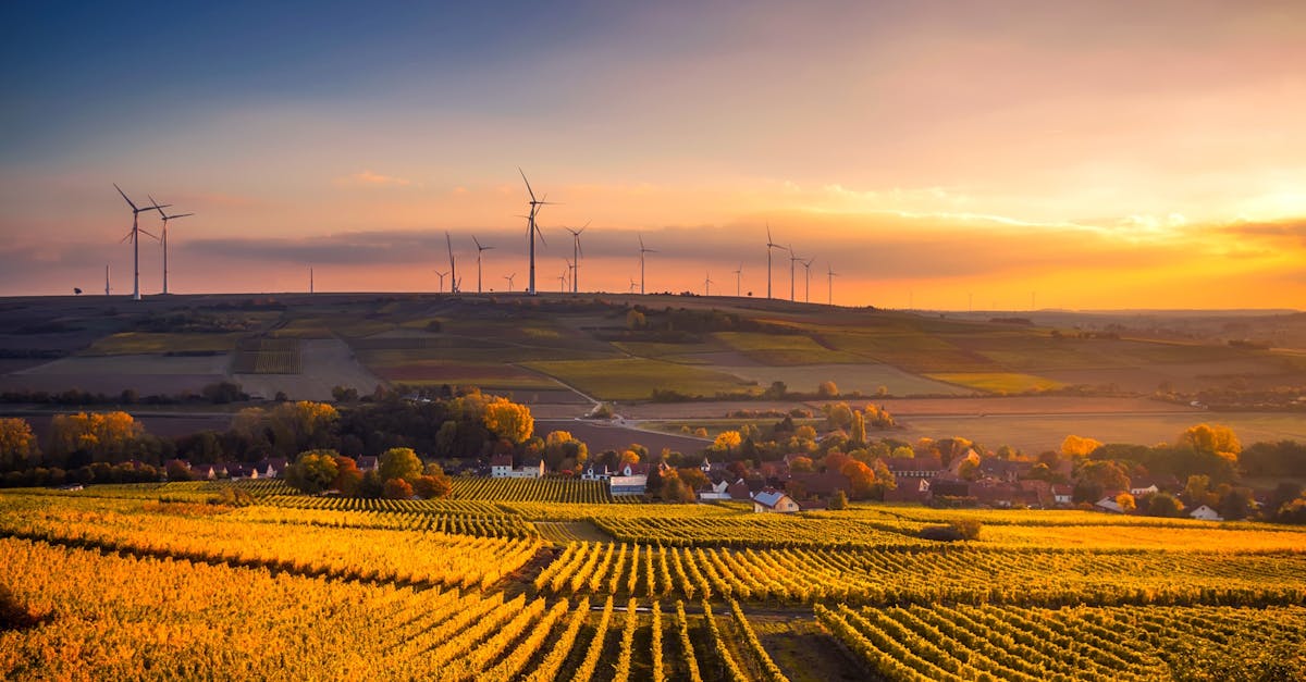 découvrez tout ce qu'il faut savoir sur la durabilité : enjeux, solutions et conseils pour adopter un mode de vie plus respectueux de l'environnement.