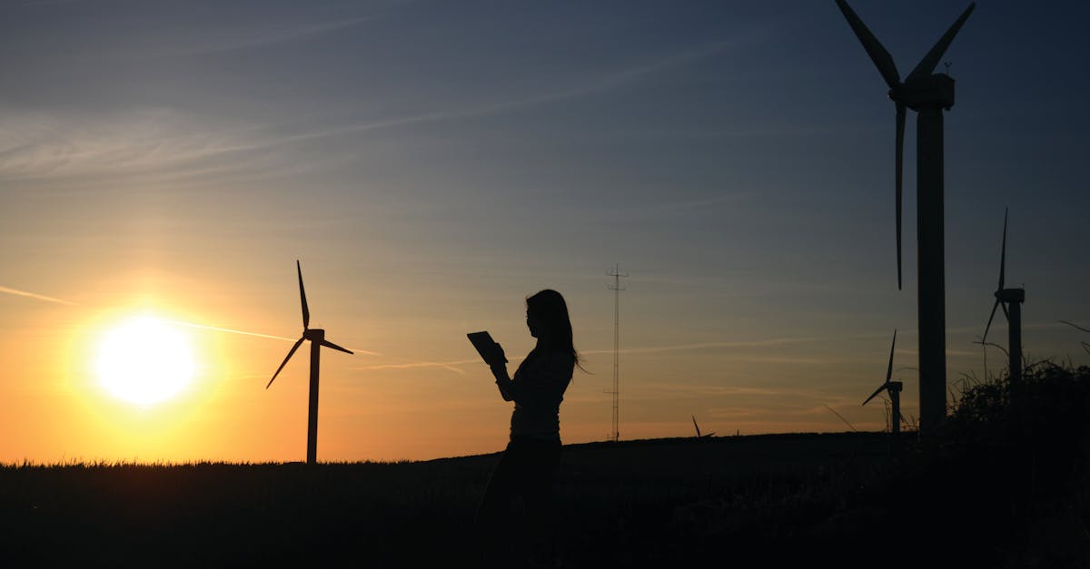 découvrez comment la durabilité façonne un avenir plus responsable : enjeux, solutions innovantes et conseils pratiques pour adopter un mode de vie respectueux de l'environnement.