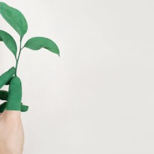 Découvrez tout sur l’écologie et le développement durable avec Energexia