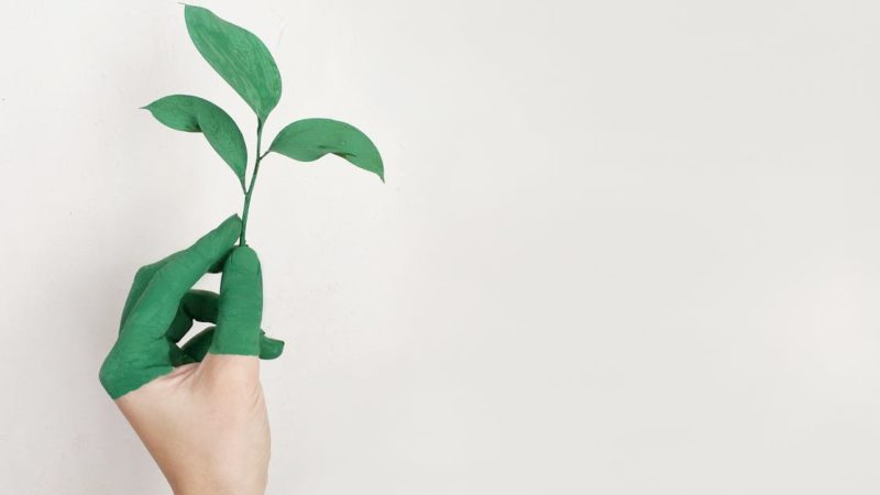 Découvrez tout sur l’écologie et le développement durable avec Energexia