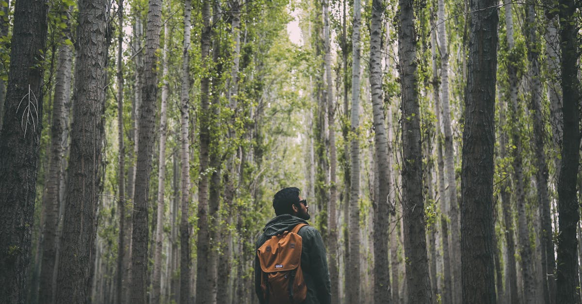 partez à l’aventure et découvrez des expériences uniques, des destinations fascinantes et des conseils pratiques pour vivre des moments inoubliables, que vous soyez amateur de sensations fortes ou passionné d’exploration.